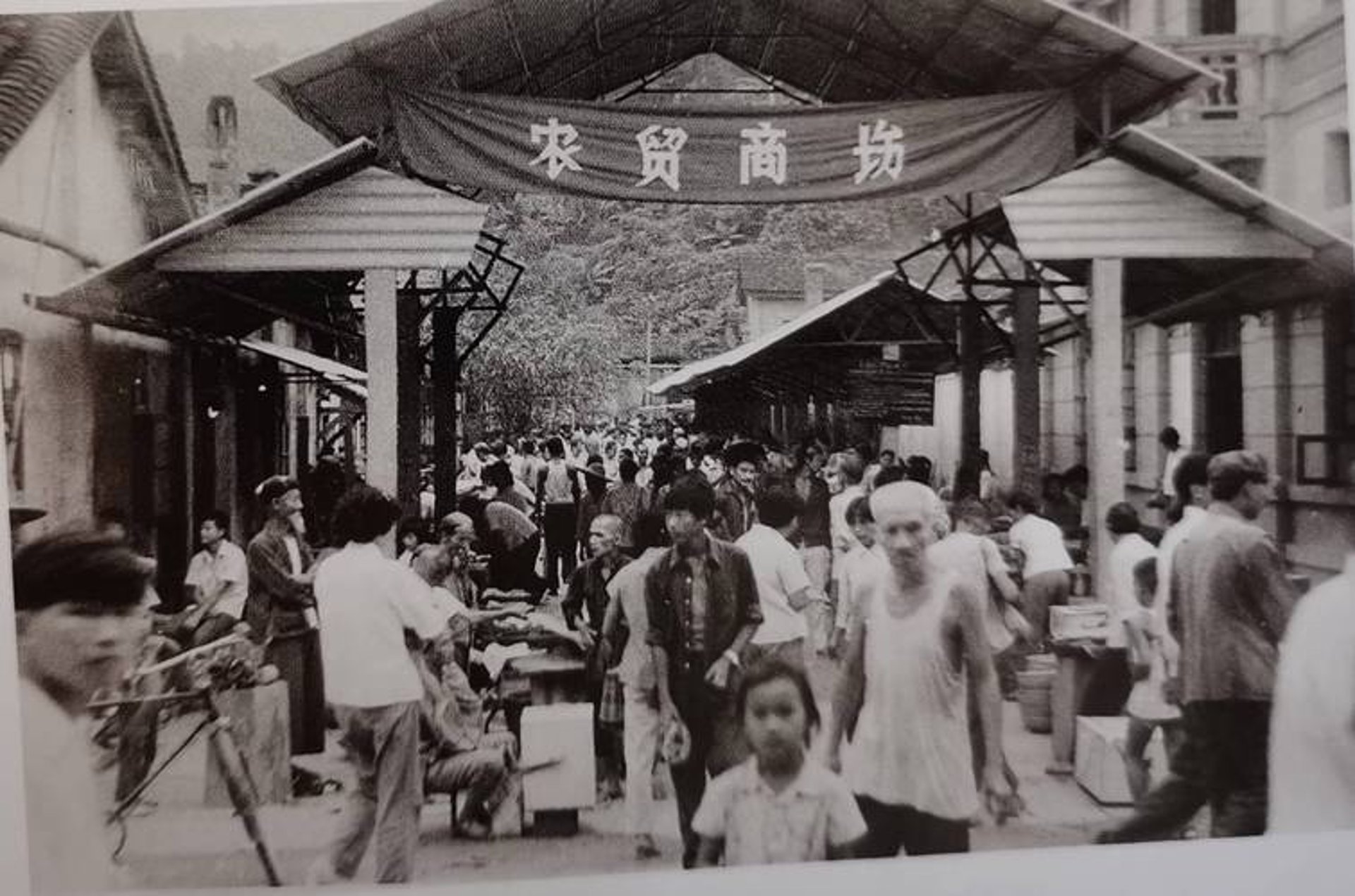 粤焉商贸
